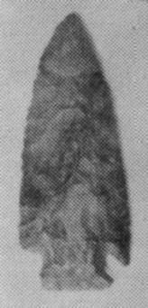 142x318 pixels (36K)