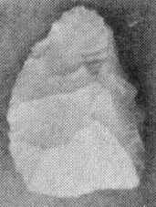 149x204 pixels (29K)