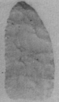 179x327 pixels (31K)