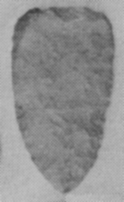 156x266 pixels (26K)